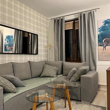 Apartament Dziki Rogacz Szczawnica Exteriér fotografie